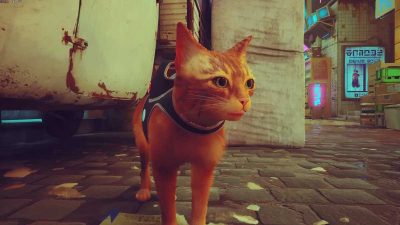اکانت قانونی Stray برای Xbox